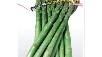 내 텃밭의 꿈, 아스파라거스 씨앗 심기 성공기! 🌱